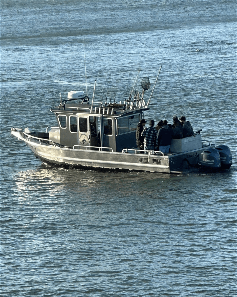 Fishing Boat